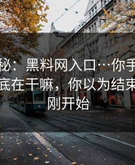 冷门揭秘：黑料网入口…你手机里的权限到底在干嘛，你以为结束了？才刚开始